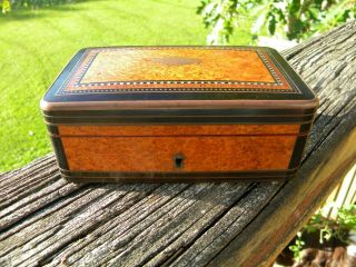 Antique Inlaid Mother Of Pearl Burl Wood Trinket Box