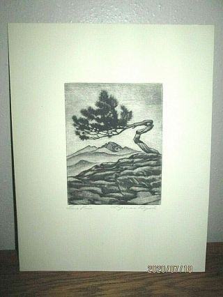 Vtg.  Lyman Byxbe Pencil Signed " Lone Pine " Etching Colorado Listed Artist