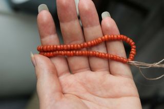 27gr Antique Salmon Coral Necklace Natural Undyed Beads 3