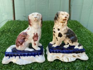 Pair: Mid 19thc Staffordshire Spaniel Dogs On Decorative Bases C1850s