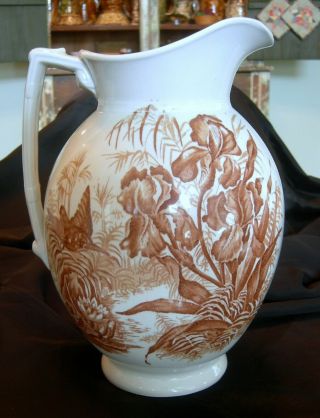 Antique F.  Winkle & Co.  England Brown & White Transferware Water Pitcher Floral