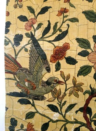 19th C.  French Floral and Bird Wallpaper.  (3049) 3
