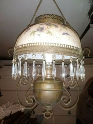 1800s Ornate Brass/hand Painted Glass Art Nouveau Oil Lamp - Converted To Electric