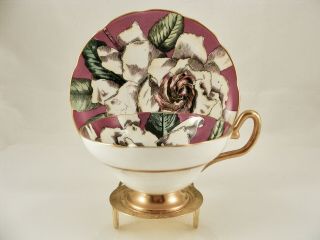 Antique Taylor & Kent Art Deco Style Cabbage Rose Teacup And Saucer - England