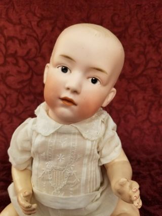 Antique German Gebruder Heubach Baby Doll Bisque Head Mold 6896 12 1/2in Cute