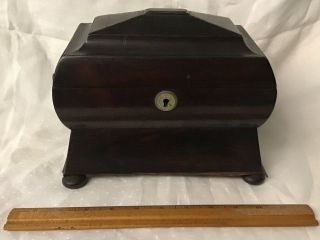 Antique 19th Century Mahogany Burl Wood Sarcophagus Tea Caddy