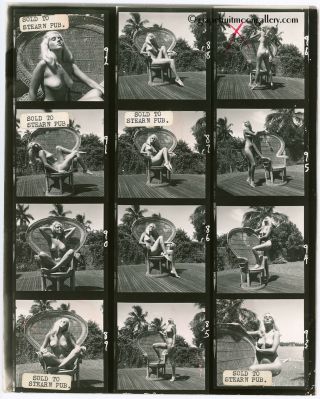 Vintage Bunny Yeager 8 " X10 " Contact Sheet Photograph Nude Blonde In Patio Chair