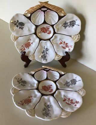 Antique Europeon Porcelain Oyster Plates Matched Set Of Two 10”