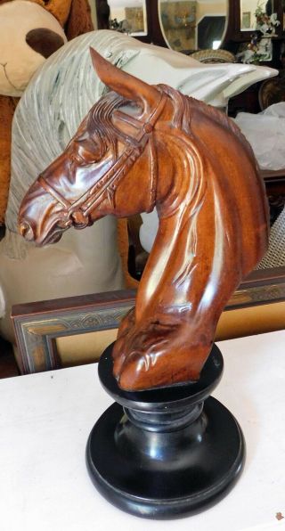 Antique Finely Carved Horse Head,  Andalusian,  Saddlebred,  American Show Horse