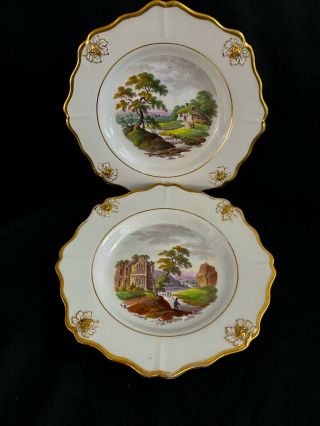 Pair Antique Hand Painted Porcelain Plates From England Gold Decoration.