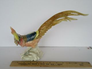 Vintage Karl Ens Germany Porcelain Pheasant Figurine,  Colors (great)