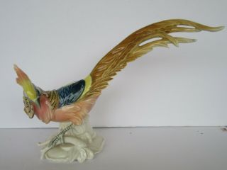 Vintage Karl Ens Germany Porcelain Pheasant Figurine,  Colors (Great) 2