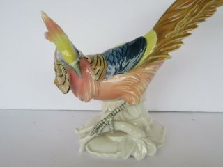 Vintage Karl Ens Germany Porcelain Pheasant Figurine,  Colors (Great) 3
