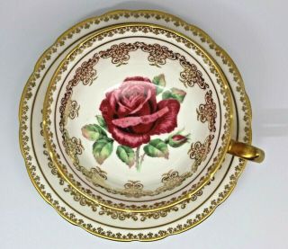 Vintage Paragon Cabbage Rose Gold Gilt Teacup & Saucer Fine Bone China - Roses