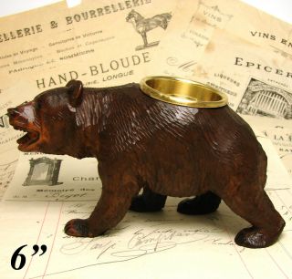Charming Antique Black Forest 6 " Bear Figure,  Open Salt Or Inkwell Stand