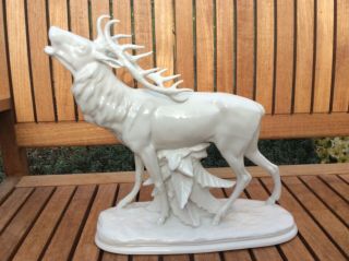 Volkstedt Dresden Sitzendorf Porcelain White Roaring Deer Seldom Item