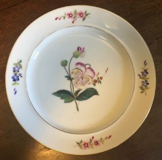 Antique 19th C.  Old Paris Porcelain Dinner Plate Botanical Flowers Floral 2