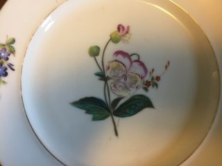 Antique 19th c.  Old Paris Porcelain Dinner Plate Botanical Flowers Floral 2 2