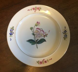 Antique 19th c.  Old Paris Porcelain Dinner Plate Botanical Flowers Floral 2 3