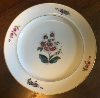 Antique 19th C.  Old Paris Porcelain Dinner Plate Botanical Flowers Floral 1
