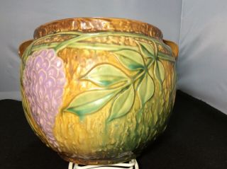 Vintage Roseville Art Pottery Wisteria Jardiniere 628 - 7 Tan Large