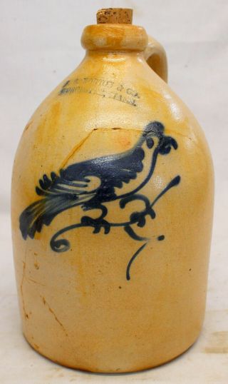 F B Norton & Co.  Stoneware 1 Gallon Jug Antique Cobalt Blue Bird Worcester Ma