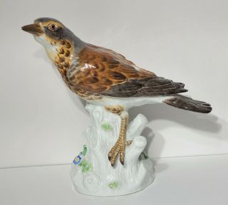Antique Meissen Porcelain Bird Figurine