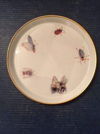 Vintage Limoges Pin / Ring Trinket Dish W/ Bugs Butterfly Ebeling & Reuss France