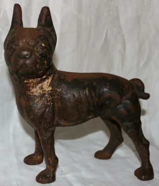 Antique Cast Iron Boston Terrier Doorstop 14 - 9.  5 Inches Tall - Left Facing