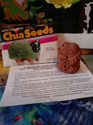 Rare Vintage Chia Pet Cat Clay Terra Cotta Planter With Seeds And Instructi