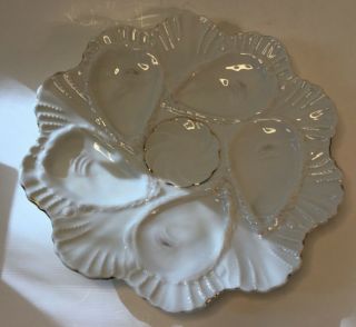 Antique German/Austrian Porcelain Scalloped Oyster Plates c.  Late 1800s 3