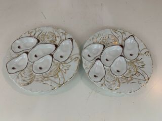 Antique White And Gold Porcelain Turkey Oyster Plates
