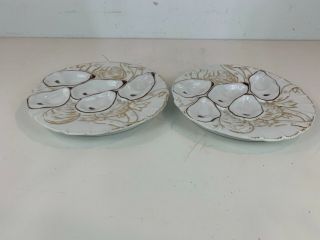 Antique White and Gold Porcelain Turkey Oyster Plates 2