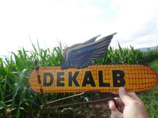 Rare Vintage Dekalb Winged Corn Sign,  1940 