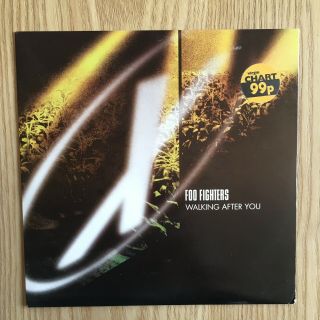 Unplayed - Foo Fighters ‎– Walking After You Label Vinyl,  7 ",  45 Rpm,  Single