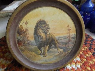 Primitive Antique Late 1800s Lion Tin Litho Tray Chas W Shonk Chicago Mark