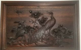 Antique Carved Wood Nature Sculpture Picture & Frame