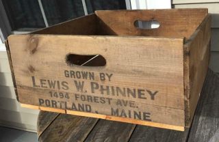 Lg Vtg Advertising Lewis Phinney Portland Me Wood Fruit/veggie Carrier Tote Box