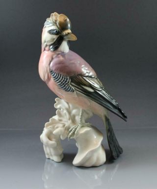 C1920 Signed Karl Ens German Porcelain Eurasian Jay Bird Figurine