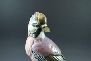C1920 Signed Karl Ens German Porcelain Eurasian Jay Bird Figurine 2