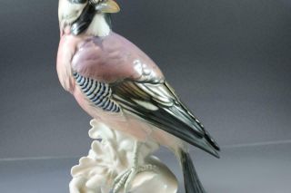 C1920 Signed Karl Ens German Porcelain Eurasian Jay Bird Figurine 3