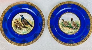 Vintage Stw Bavaria Germany Cobalt Blue & Gold Game Bird Cabinet Plate (jj)