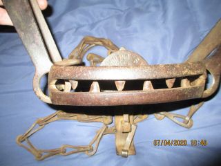 Rare Old Newhouse 4 Animal Trap With Teeth.
