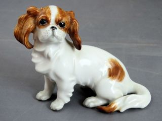 Augarten Royal Vienna Porcelain Figurine Of A Cavalier King Charles Spaniel Dog