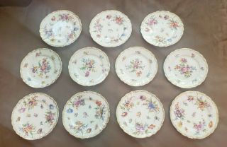 11 Rare 19th Century Dresden Hand Painted Plates Richard Klemm Wildflowers