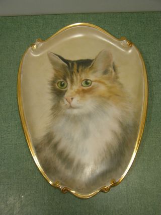A Vintage Hand Painted Porcelain Plate Cat Portrait