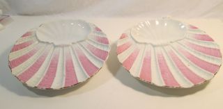 Antique German Hand Painted Scallop Plates - 1890 