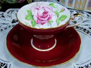 Aynsley Pink Cabbage Rose Rich Red Corset Style Tea Cup And Saucer