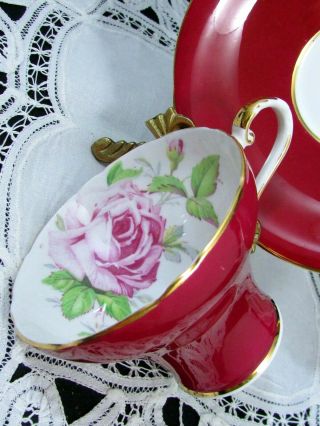 AYNSLEY PINK CABBAGE ROSE RICH RED CORSET STYLE TEA CUP AND SAUCER 3