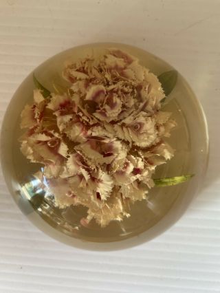 Vintage William S.  Rolfe Lucite Acrylic Paperweight With Dried Flower Carnation